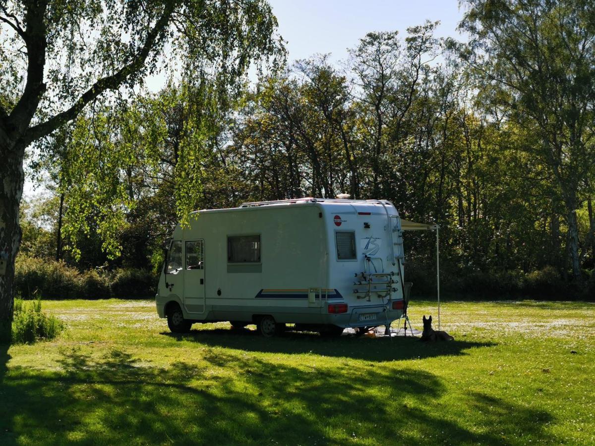 Frederiksvaerk Camping & Hostel Exterior foto